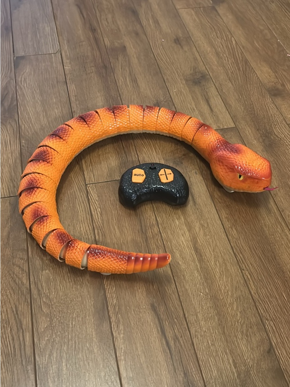 RC rattlesnake